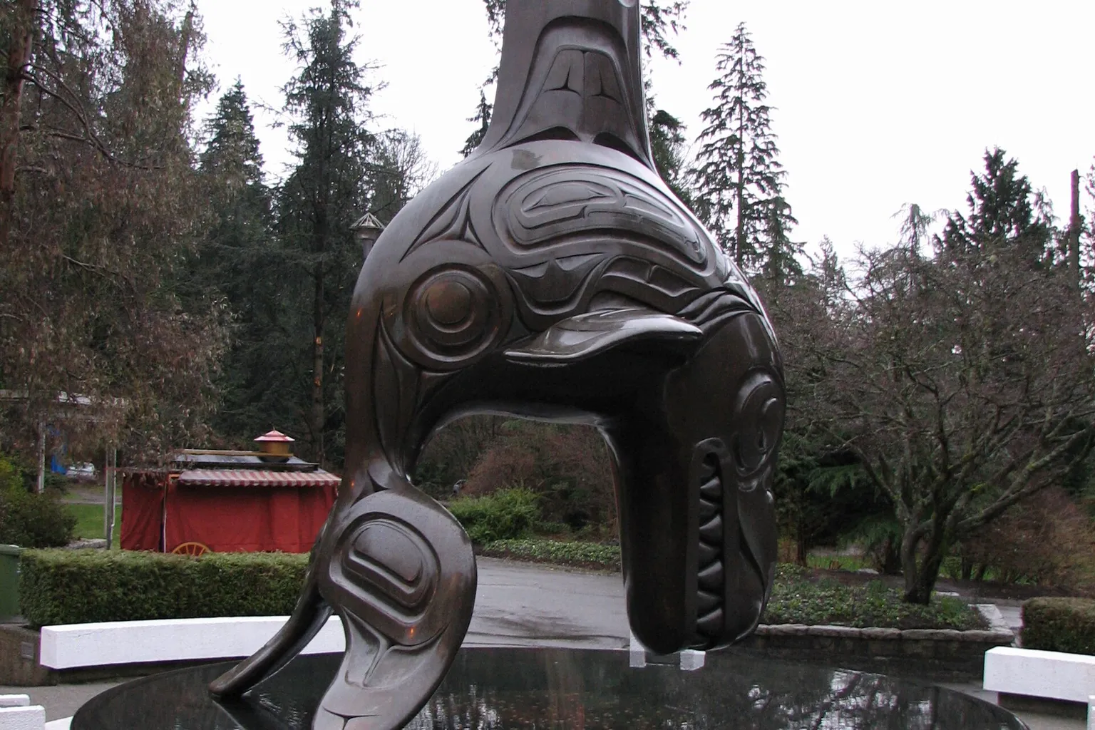 Akwarium w Vancouver bilety: oficjalna strona czy Go City?