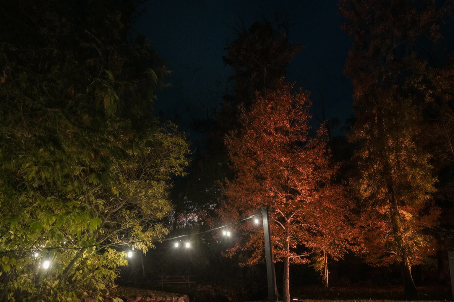 Jak efektownie oświetlić ogród, by poprawić wygląd domu i obniżyć rachunki za prąd