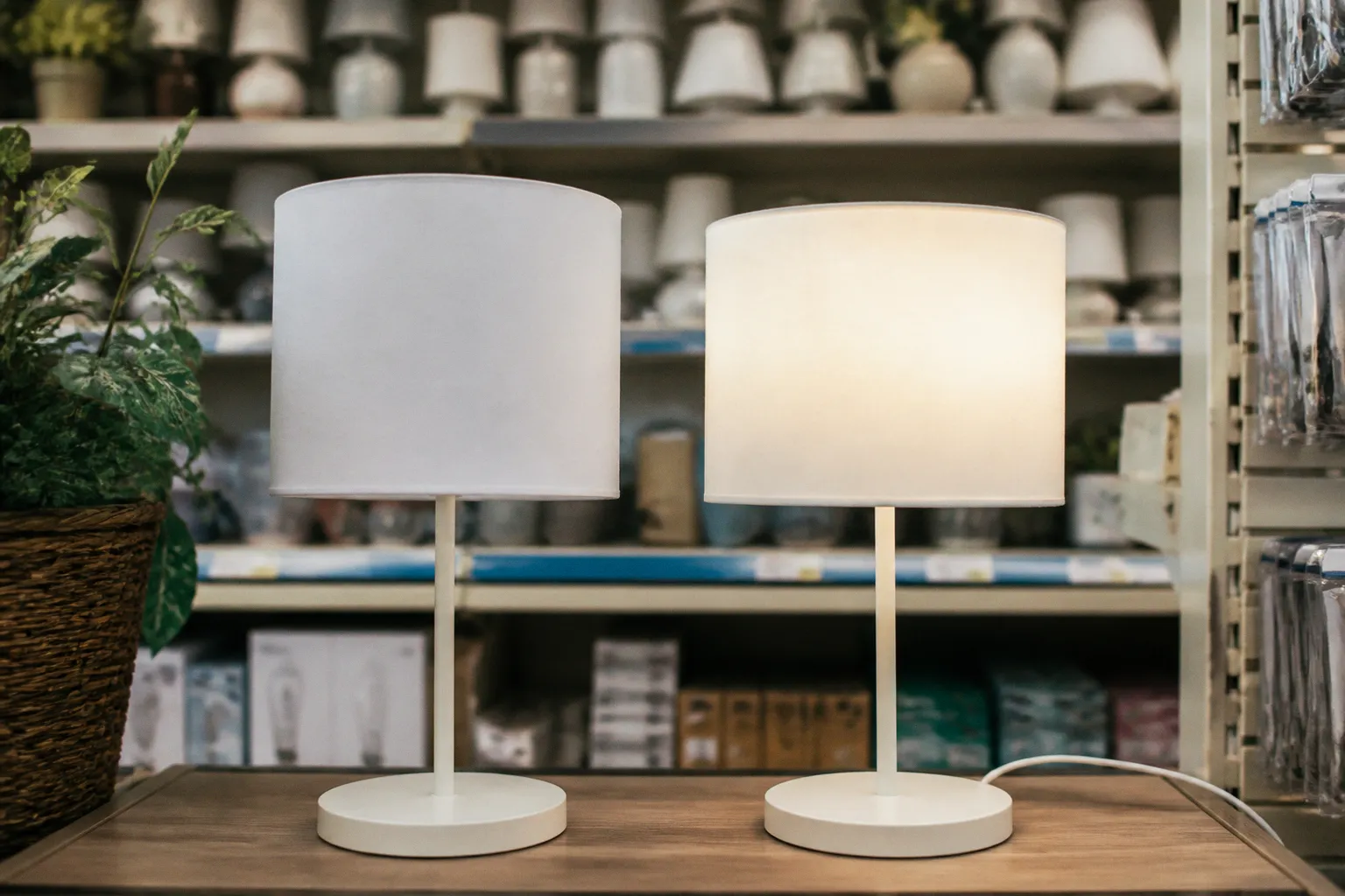 Tanie lampy LED z Lidla kontra droższe modele z B&Q: czy warto je kupić?