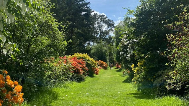 Ogrody Mount Usher