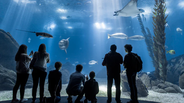 Oceanarium w Lizbonie