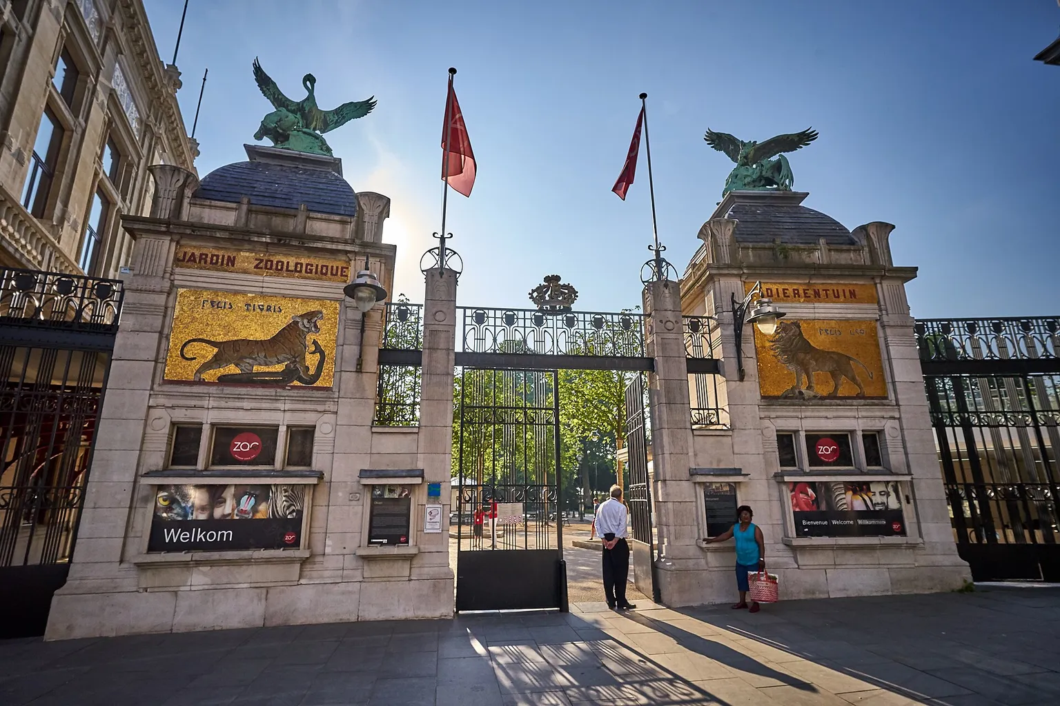 Bilety do Zoo w Antwerpii: trasa od zakupu do samej bramy